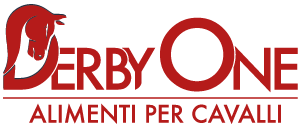 logo derby one