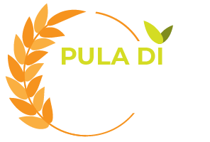 pula di riso