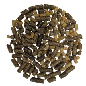 Mangime cavallo Derbyone V-Performa